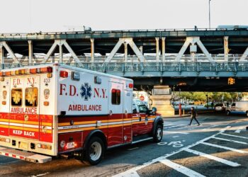 Koira juoksi ambulanssin ja omistajan perään